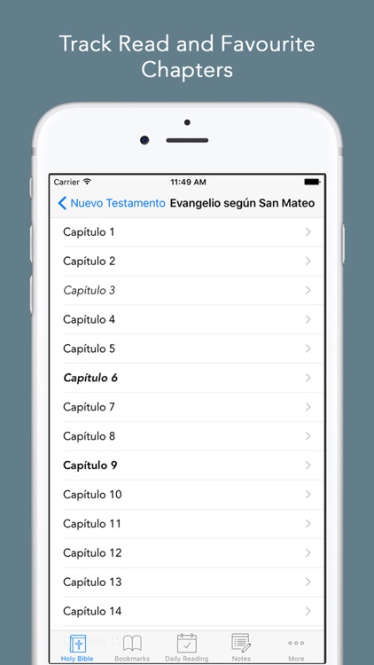Spanish Bible: Easy to use Bible app in Spanish for daily offline Bible Book reading screenshot-4