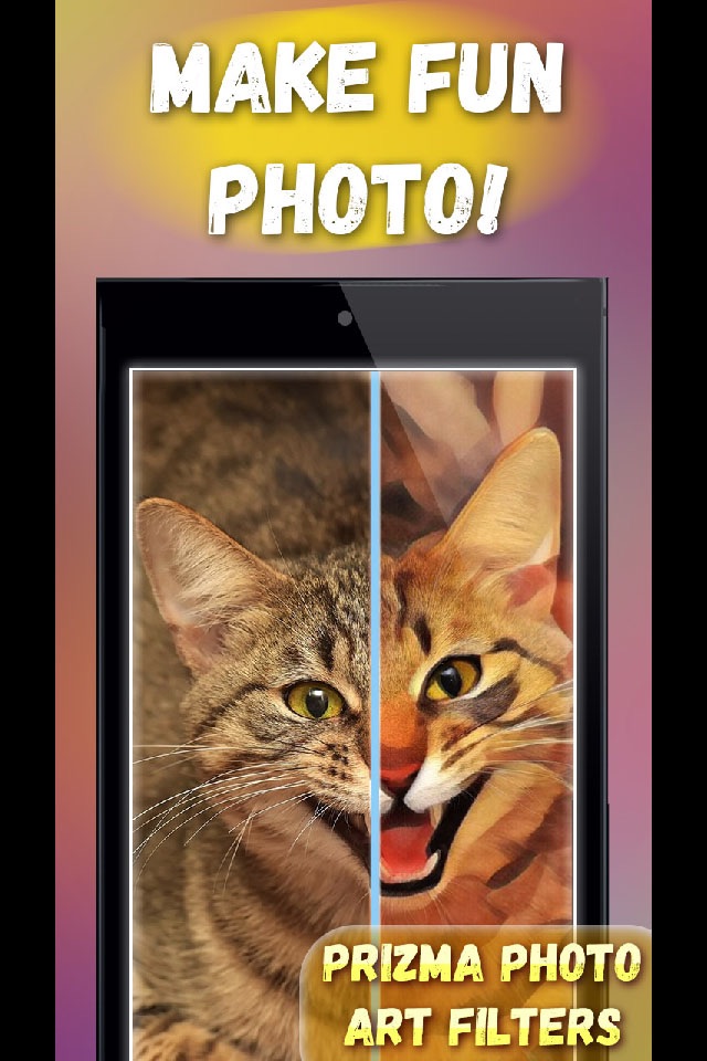 Prizma Photo Art Filters screenshot 2