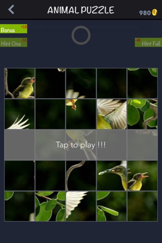 Pic Puzzle - Animal screenshot 3