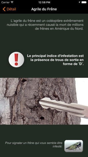 Branché(圖5)-速報App