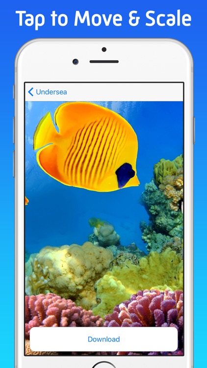 Wallpapers Every Day: Insanely Great HD Images screenshot-3