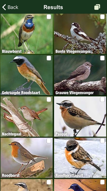 Birds of the Netherlands - a field guide to identify the bird species native to NL and Holland screenshot-3