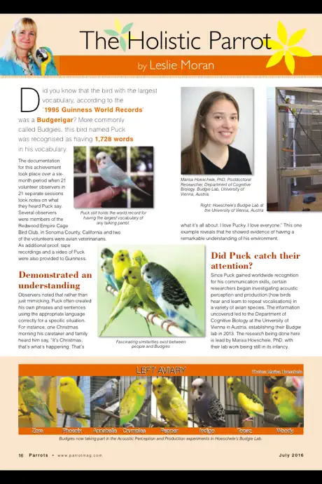Parrots magazine