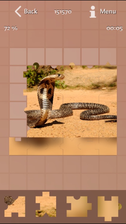 Snakes Great Puzzle screenshot-4