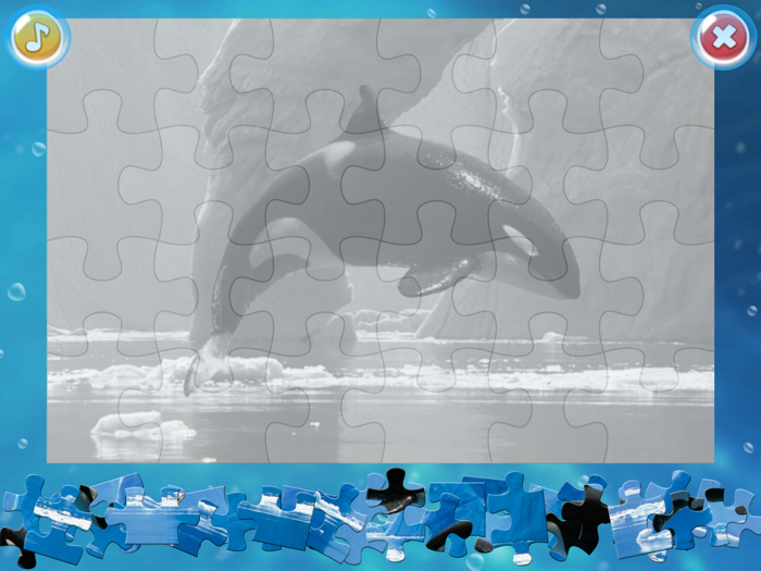 Arctic Animals Puzzle