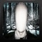 SlenderMan's Forest