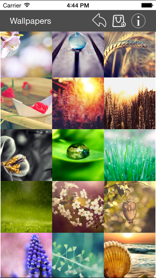 #3. Wallpaper Collection Macro Edition (iOS) 由: Nitrio