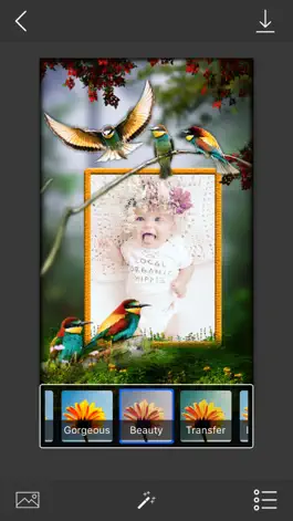 Game screenshot Bird Photo Frames - Make awesome photo using beautiful photo frames hack
