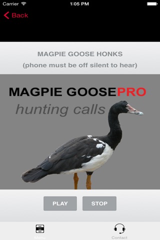 REAL Magpie Goose Calls - Hunting Calls for Magpie Geese - BLUETOOTH COMPATIBLE screenshot 2