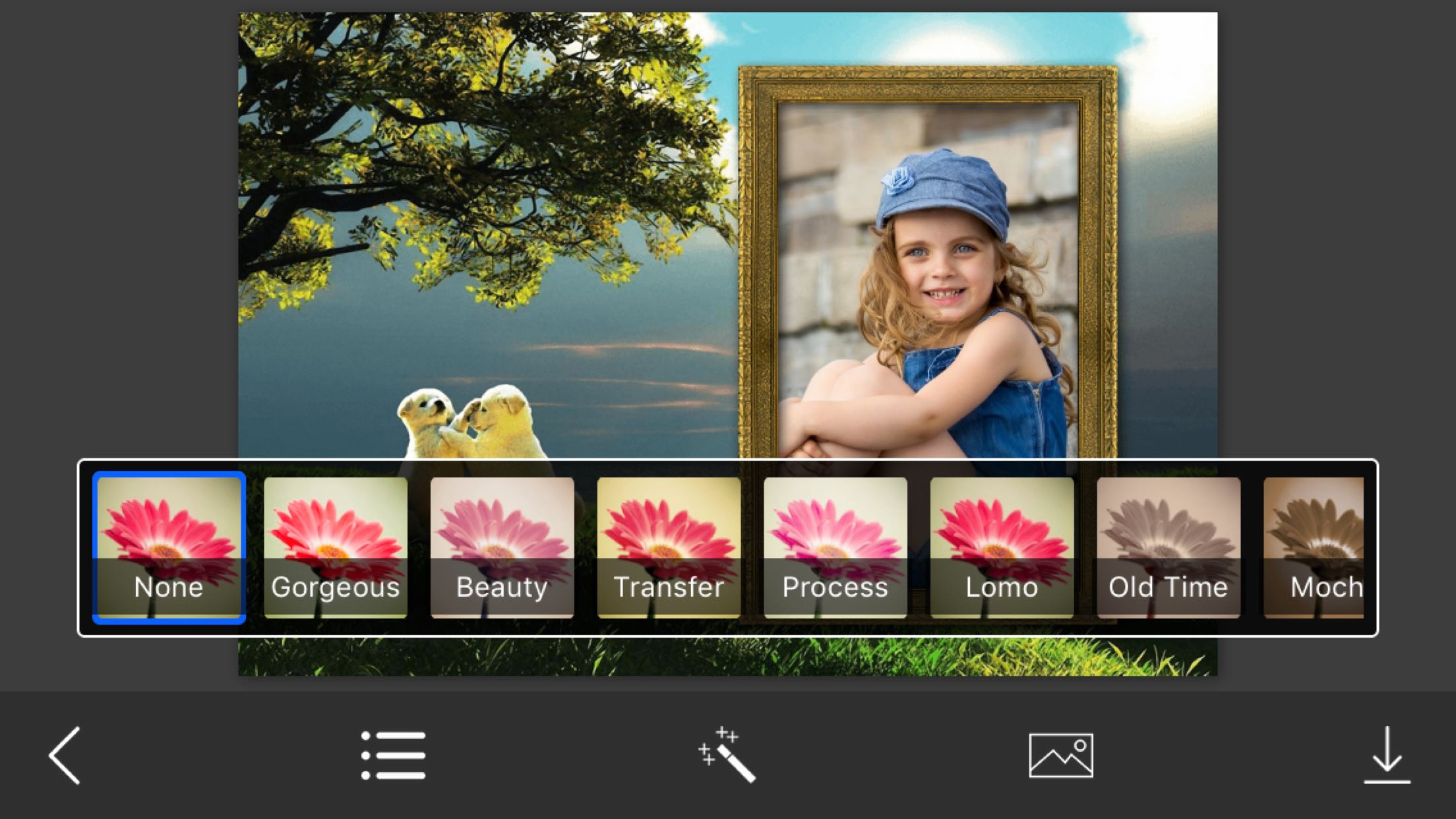 Nature Photo Frames - Elegant Photo frame for your lovely moments screenshot 3