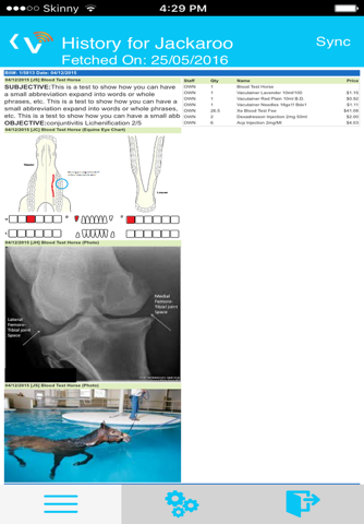 VETLINKSQL MOBILE - náhled