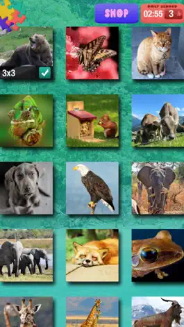 Game screenshot Animal Jigsaw Puzzle – Free Memory, Brain Exercise Game For Kids and Adult.s hack