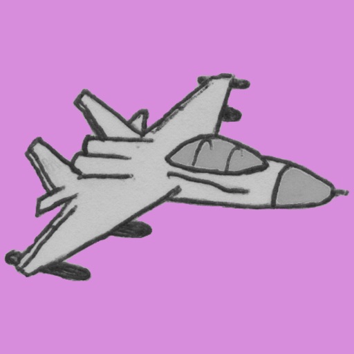 Pilot Ace Icon