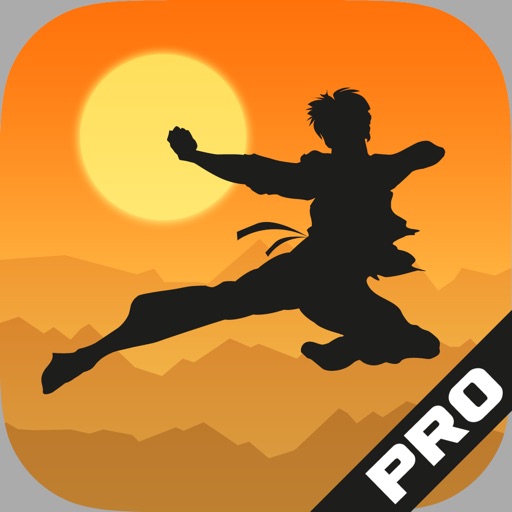 Shaolin Kung Fu Chinese Martial Arts Wushu icon