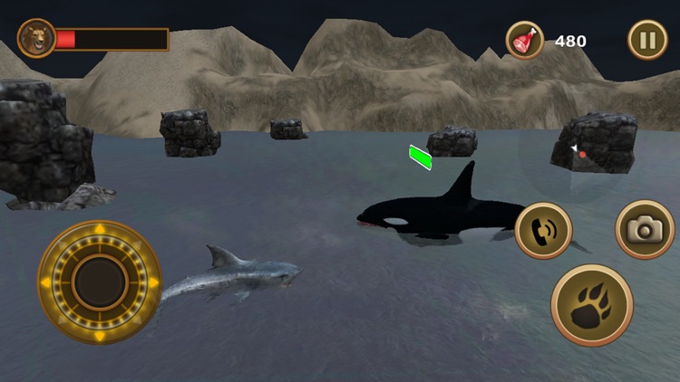 Great White Shark Survival screenshot-4