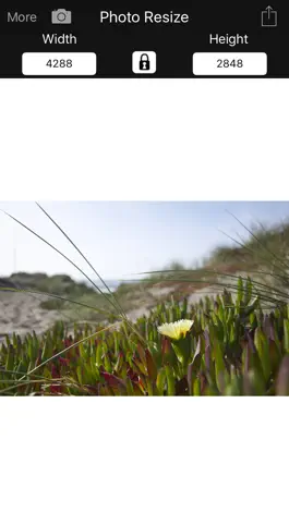 Game screenshot Photo Resize mod apk