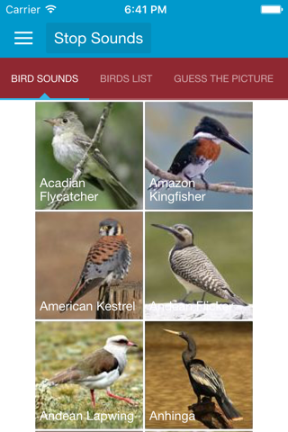 South American Birds and Sound - náhled
