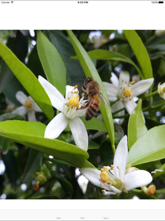 Smart photo & camera effect - تحرير البوم الصور