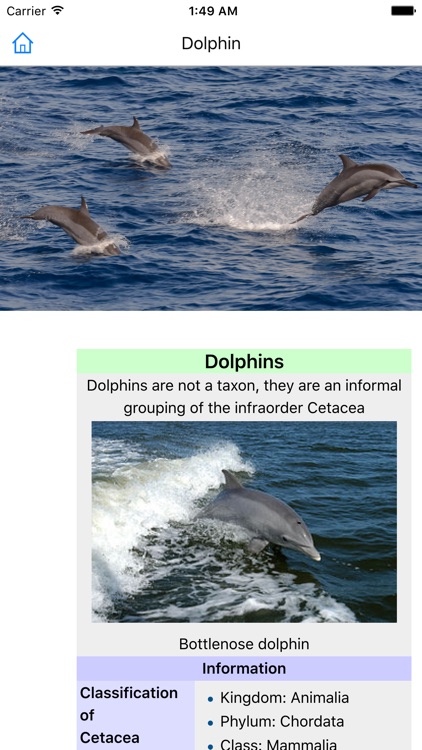 CHI Encyclopedia of Animals
