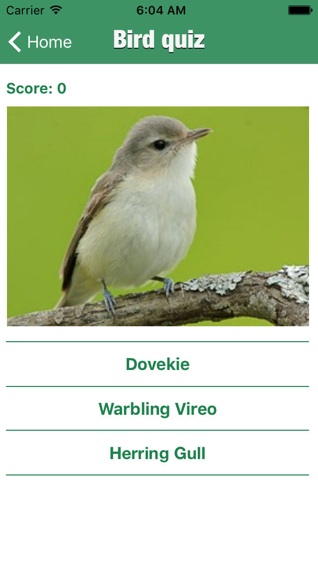 Bird Guide - Offline bird identification app