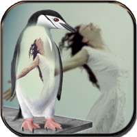 Framing and Stitching Cute Couple Photos Stunning Cool Collage Selfie Maker and Photofy Perfect Image From Gallery