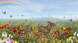 Game screenshot Life Of Deer mod apk