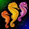 Seahorse Wallpapers HD: Quotes Backgrounds with Art Pictures