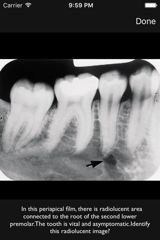 Oral Radiology screenshot 4