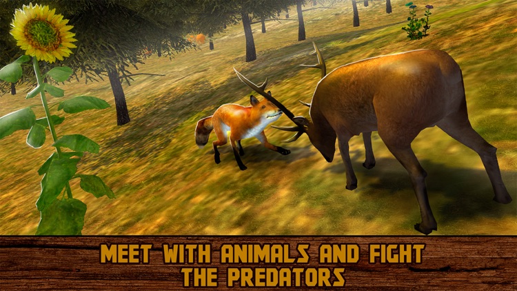Forest Deer: Wild Survival