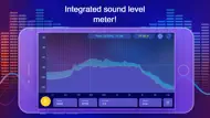 Octave Band Real Time Frequency Analyzer and Sound Level Meter iphone bilder 1