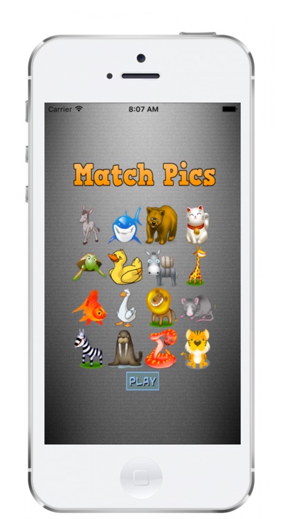Match Animal Pics