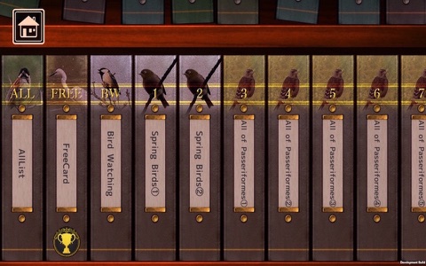 Birds Collection-The library of wild birds video- screenshot 4