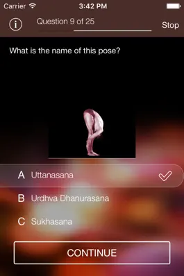 Game screenshot Sanskrit-Yoga hack