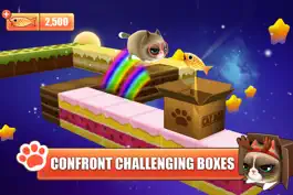 Game screenshot Kitty in the Box hack