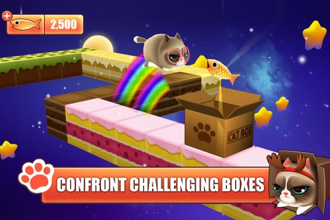 Kitty in the Box screenshot 3