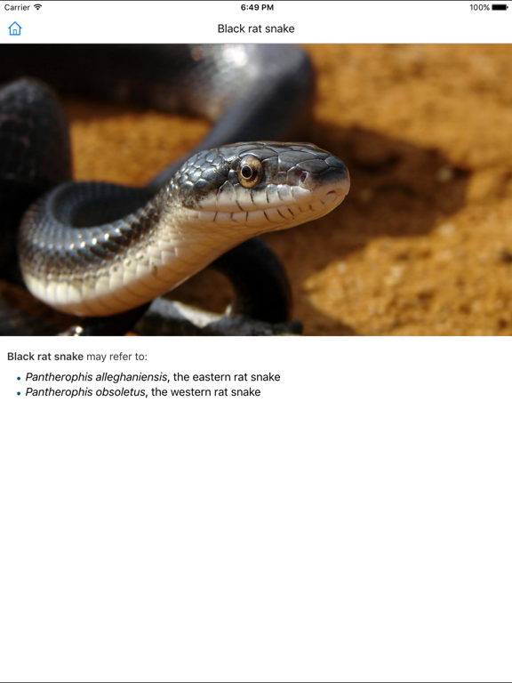 CHI Encyclopedia of Snakes iPad screenshot 4 - Education app
