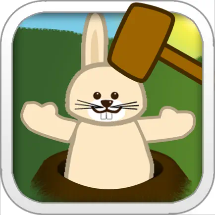 Bunny Hammer Cheats