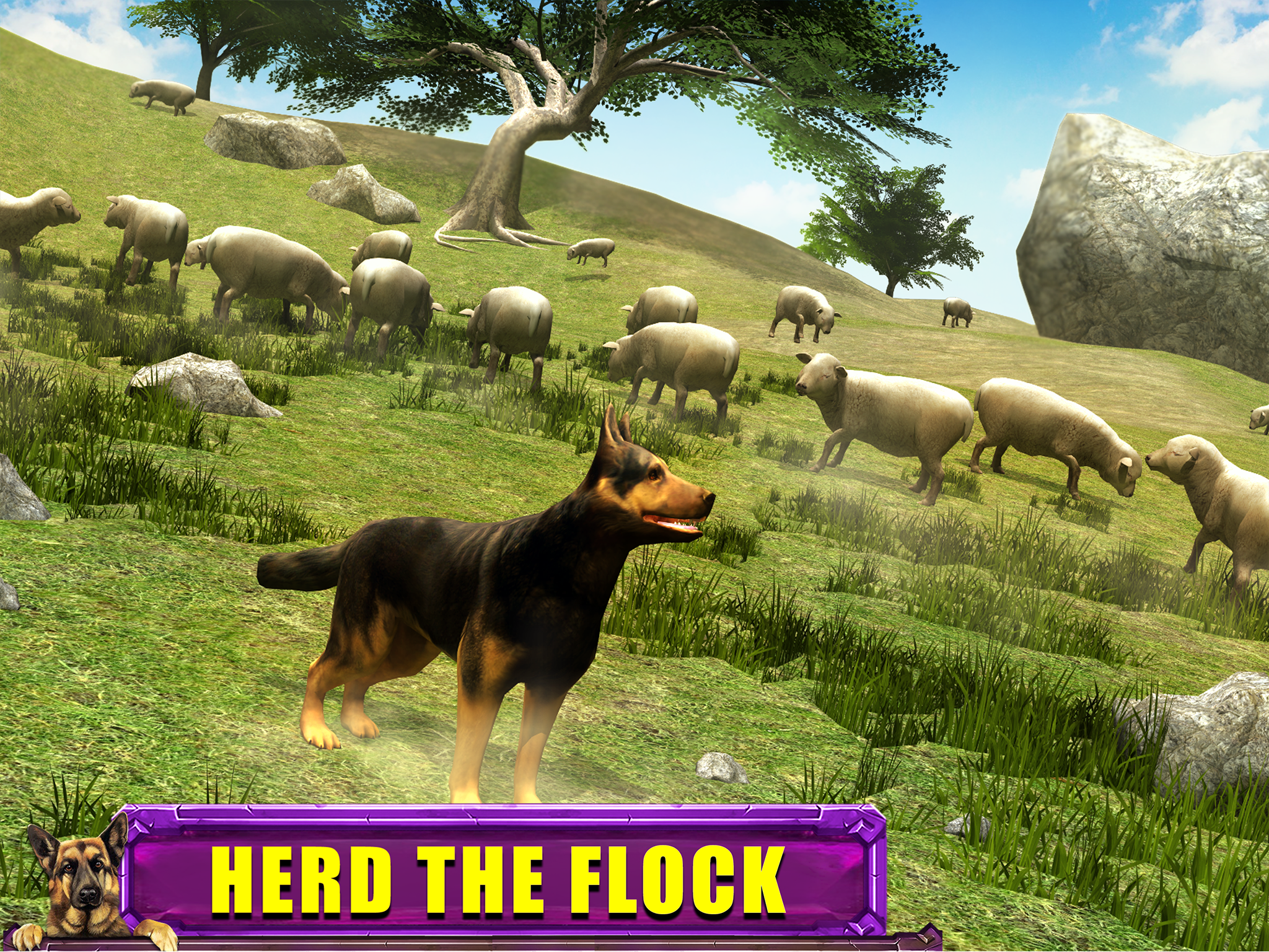 Shepherd Dog Simulator 3D screenshot 10