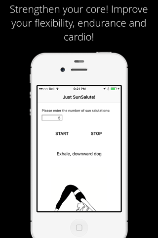 JustSunSalute screenshot 2