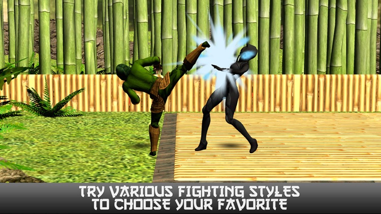 Ninja Revenge: Kung Fu Fighting