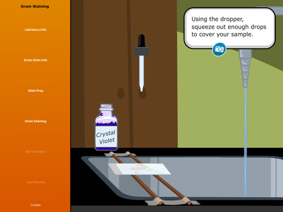 Virtual Labs: Gram Staining iPad screenshot
