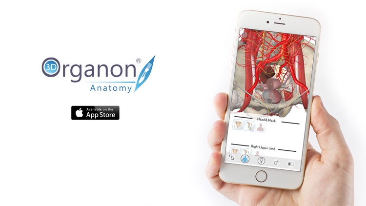 3D Organon Anatomy - Reproductive and Urinary Systems screenshot-3
