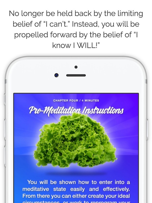 Screenshot #4 for Meditation Diet