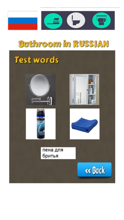 Russian Vocabulary Teacher - Bathroom Words screenshot-3