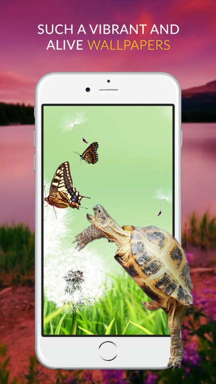 Live Wallpapers - Custom Dynamic HD Themes with Animated Photo Backgrounds for iPhone 6s and 6s Plus