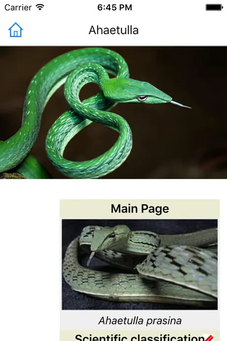 CHI Encyclopedia of Snakes