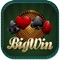 Casino Big Win Slots Multi Reel Casino Games