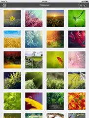 wallpaper collection nature edition ipad capturas de pantalla 1