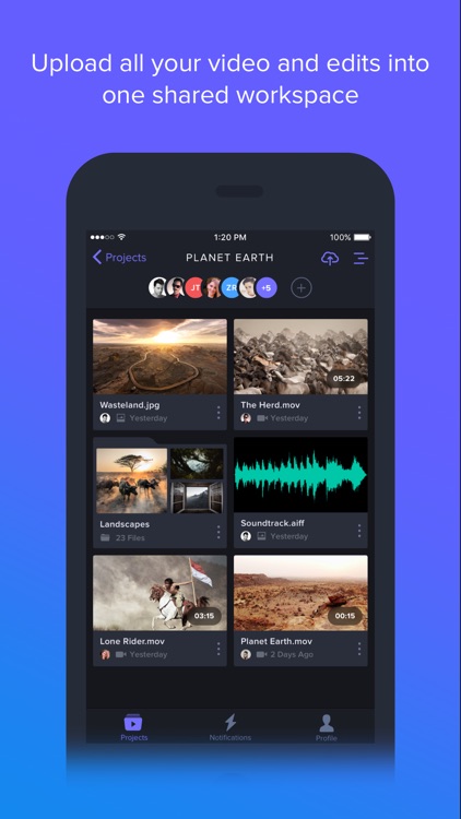 Frame.io screenshot-0
