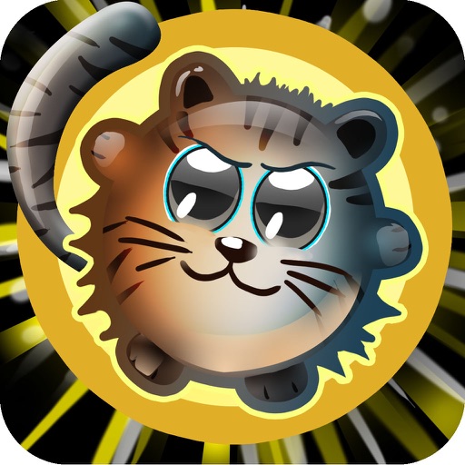Super Cat Endless Curculate Challenge Icon